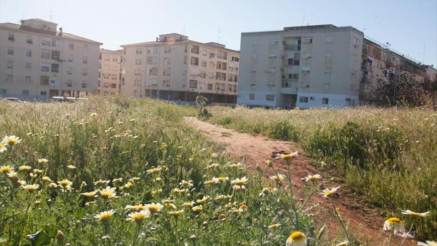 Un bando de la alcaldía de Badajoz instará a los propietarios de solares a limpiarlos