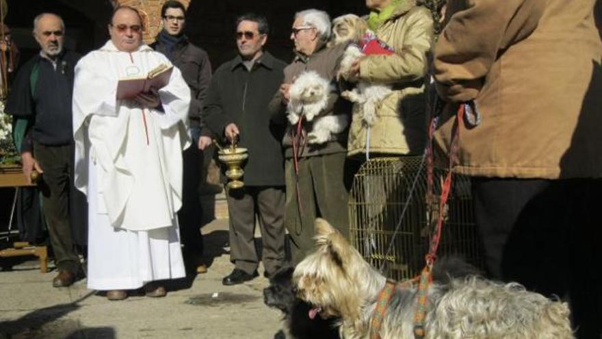 Dos vecinas de la localidad con sus perros.