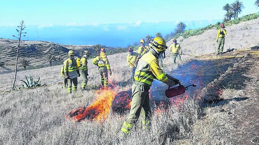 Los miembros de una brigada forestal apagan un conato de incendio.