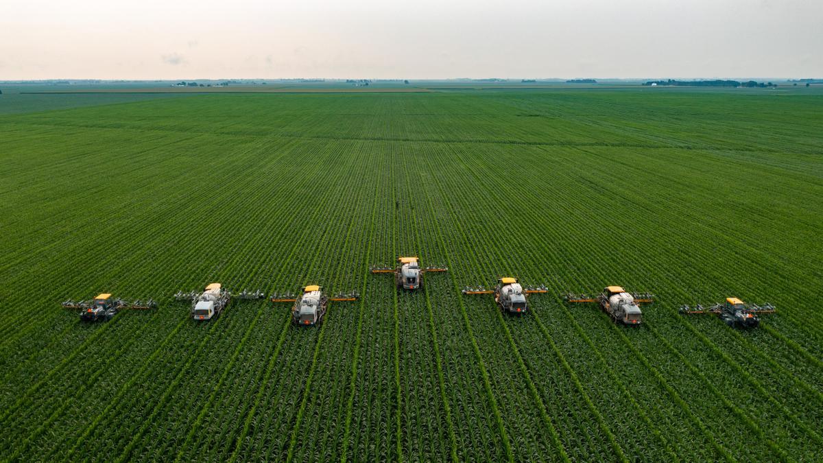 Campo de maíz en Illinois (Estados Unidos).