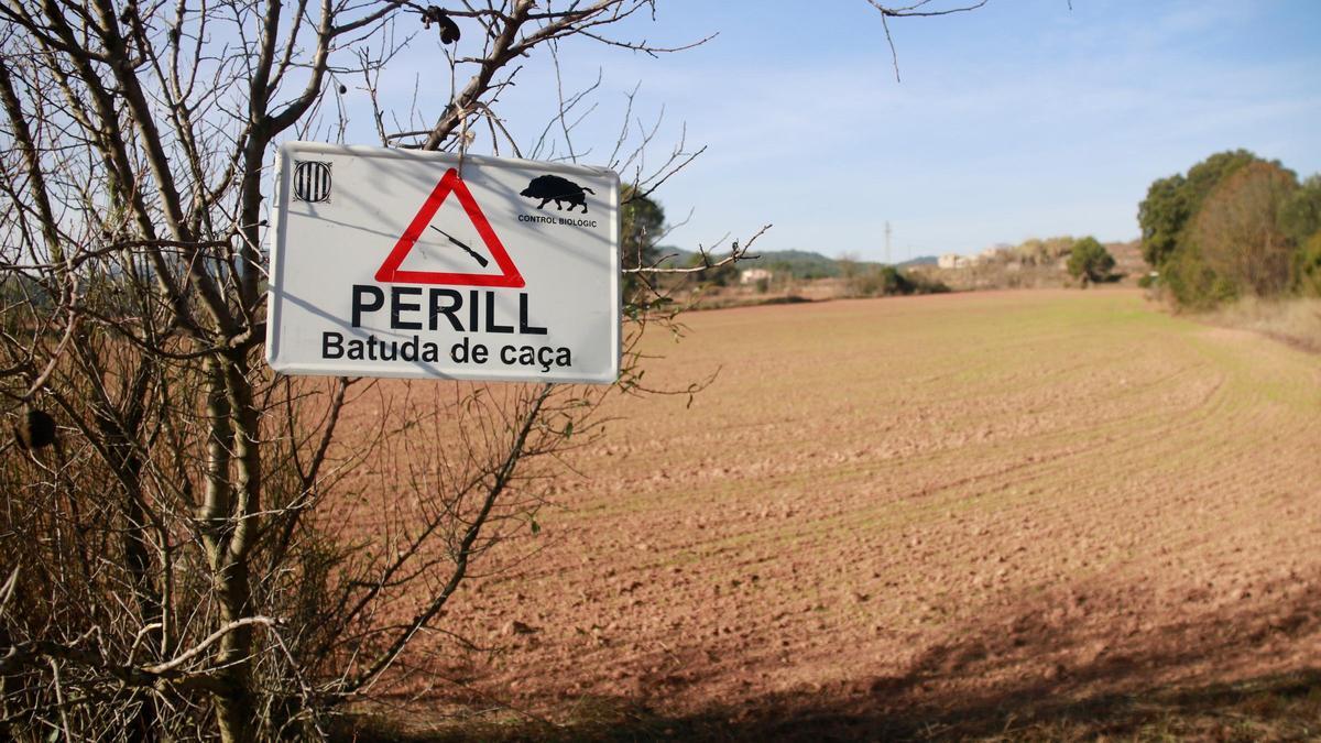 Un senyal de batuda de senglar.