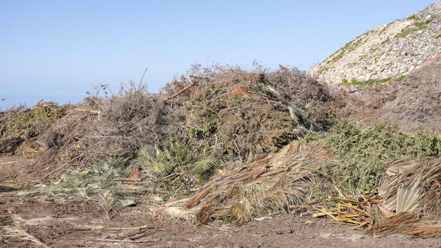Restos de poda en el vertedero de es Cap. | CIF