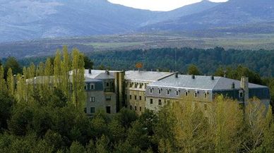 Vuelven las setas a la Sierra de Gredos