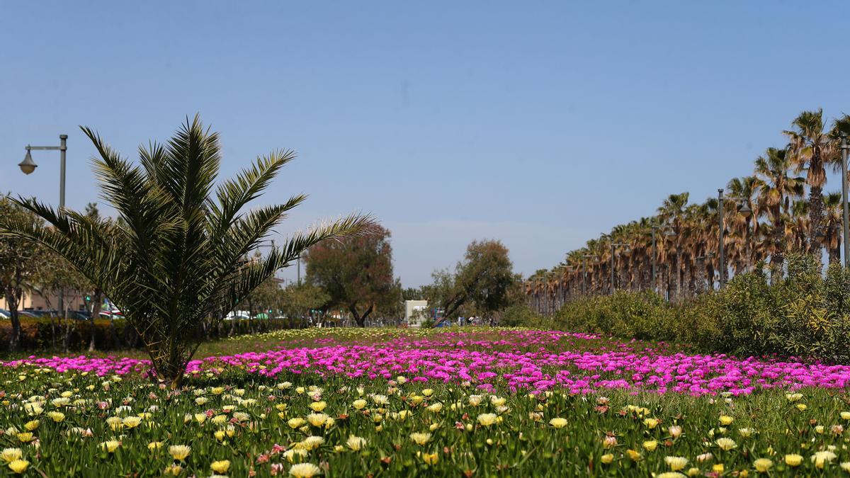 La primavera toma València