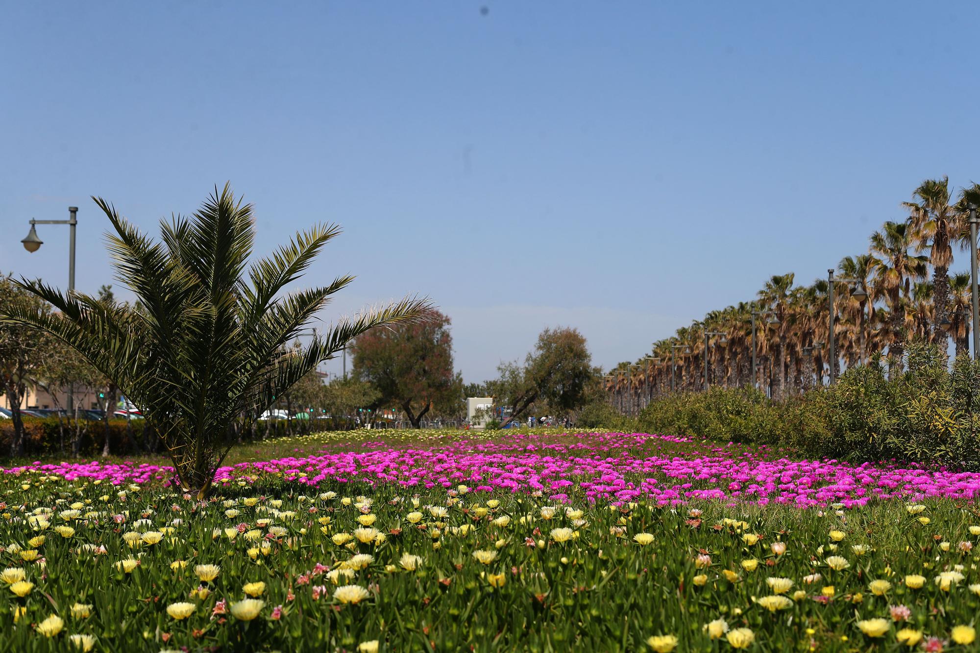 La primavera toma València