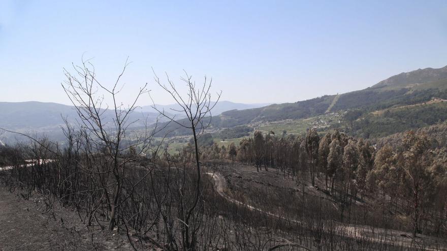 El Gobierno exige a las comunidades planes antiincendios anuales y con personal estable