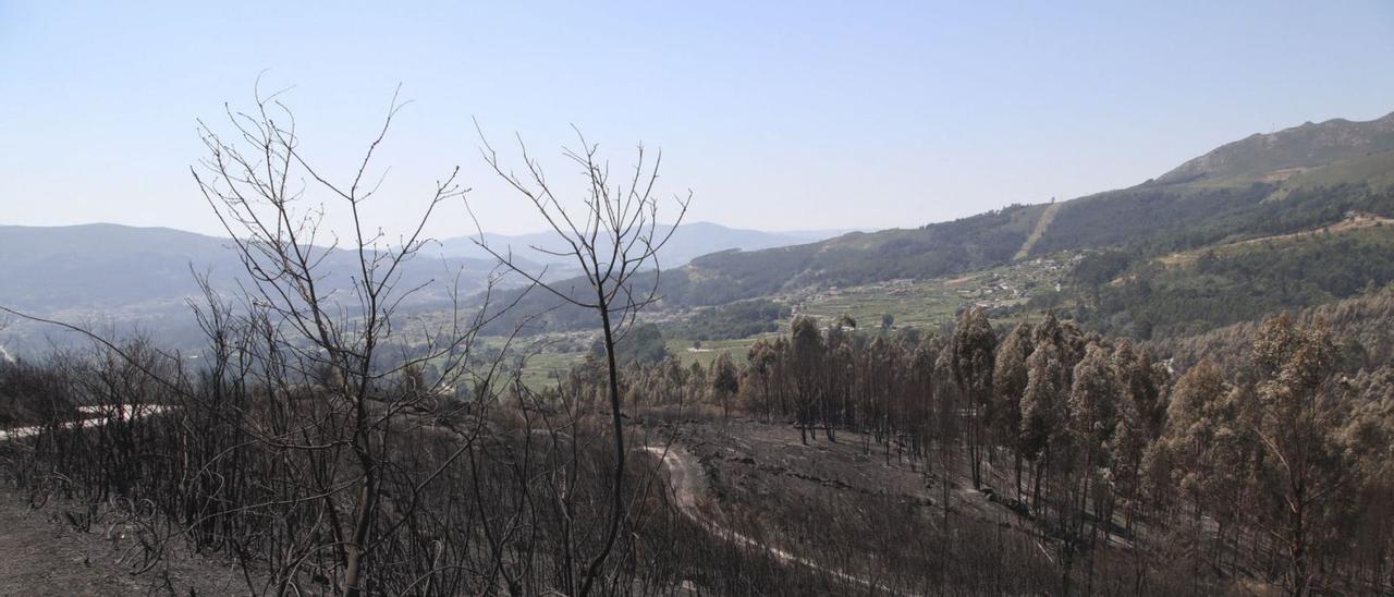 La huella dejada en el monte por el incendio de Arbo, ayer. / ANXO GUTIÉRREZ