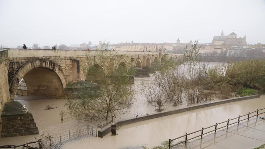 Desciende el nivel del Guadalquivir a su paso por Córdoba