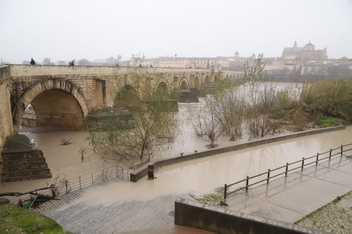 Desciende el nivel del Guadalquivir a su paso por Córdoba: las imágenes del río este martes