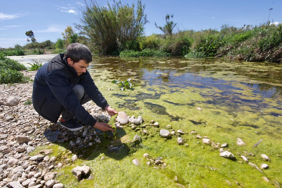 Uno de los tramos del Francolí donde todavía queda agua.