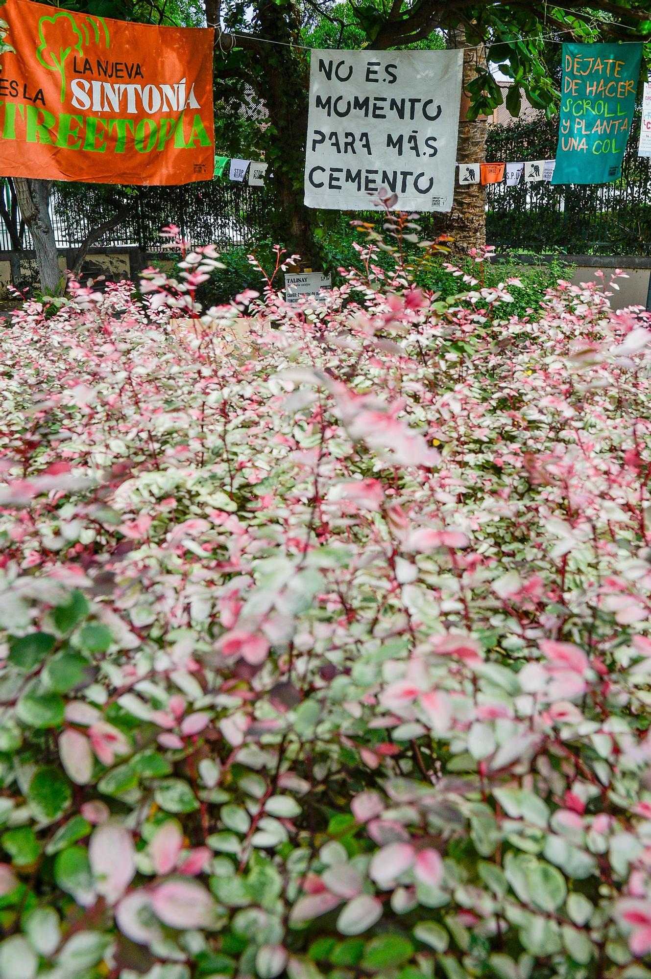 Inauguración 'Biotopías 3' - arte, ecología y tecnología