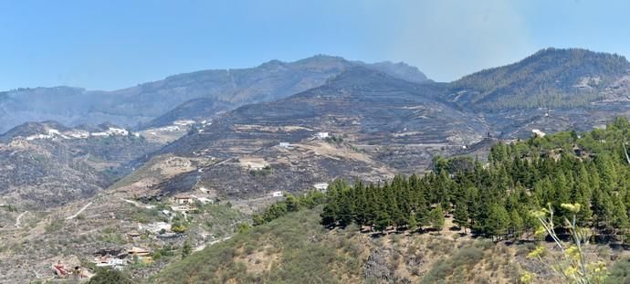 11-08-2019 Artenara. Segundo día del incendio en la cumbre  | 11/08/2019 | Fotógrafo: Andrés Cruz