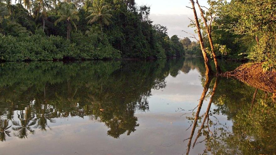 La paradisíaca Península de Osa, en el Pacífico sur de Costa Rica, albergue del 2,5 por ciento de toda la biodiversidad conocida en el mundo, es la joya natural más celosamente custodiada de ese país. Habitantes y promotores turísticos a la par son cómplices en la preservación de las riquezas naturales de estos parajes de ensueño, orgullo de sus escasos pobladores, según comprobó Efe en un recorrido por la península.