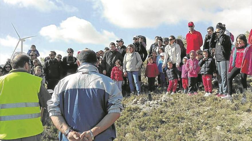 El monte ‘reverdece’ de la mano de los escolares