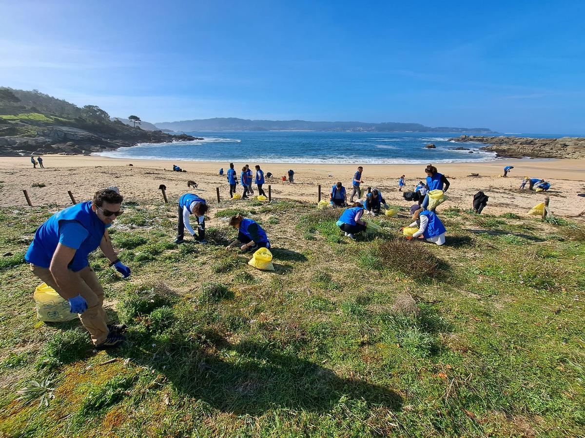 La limpieza de la playa de Area de Bon, en Bueu, en imágenes (II)