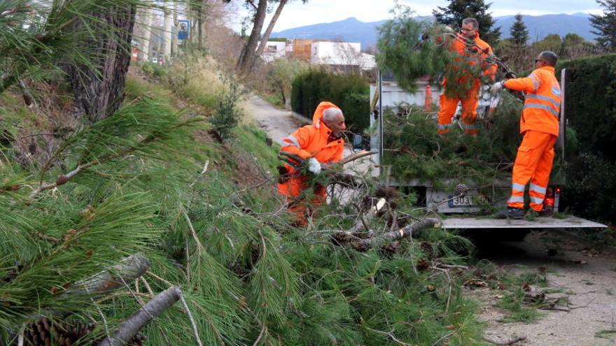 Els Bombers realitzen una desena d&#039;actuacions pel vent al Moianès