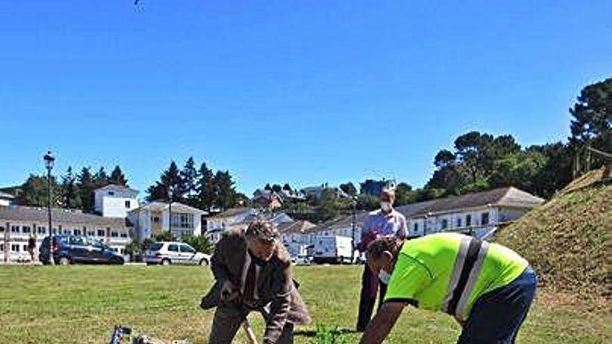 Ignacio García Palacios planta el tejo conmemorativo.