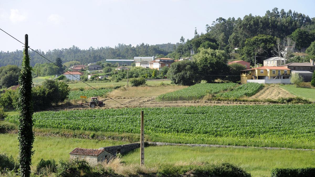 Fincas de cultivo en una aldea de Lalín.