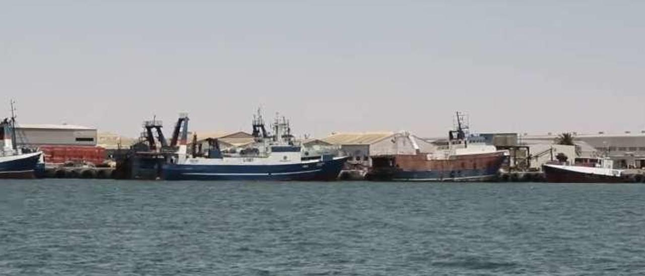 Flota pesquera amarrada en el puerto de Walvis Bay, en Namibia. | ICEX