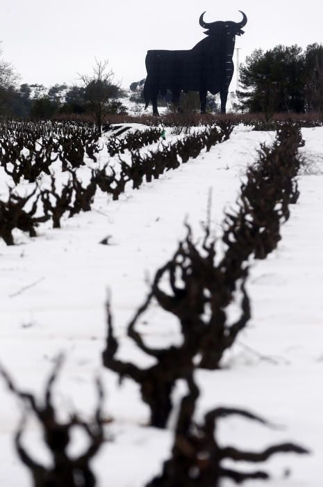 Efectos de la nevada en Requena