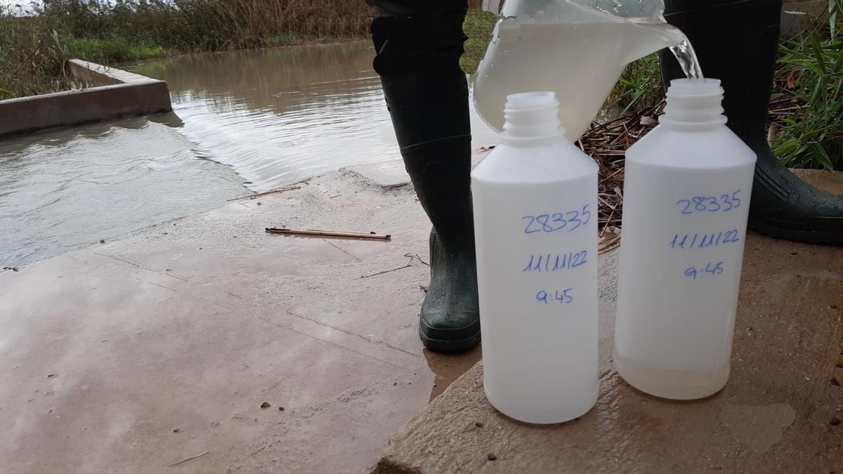 Recogida de muestras en la desembocadura del Albujón.