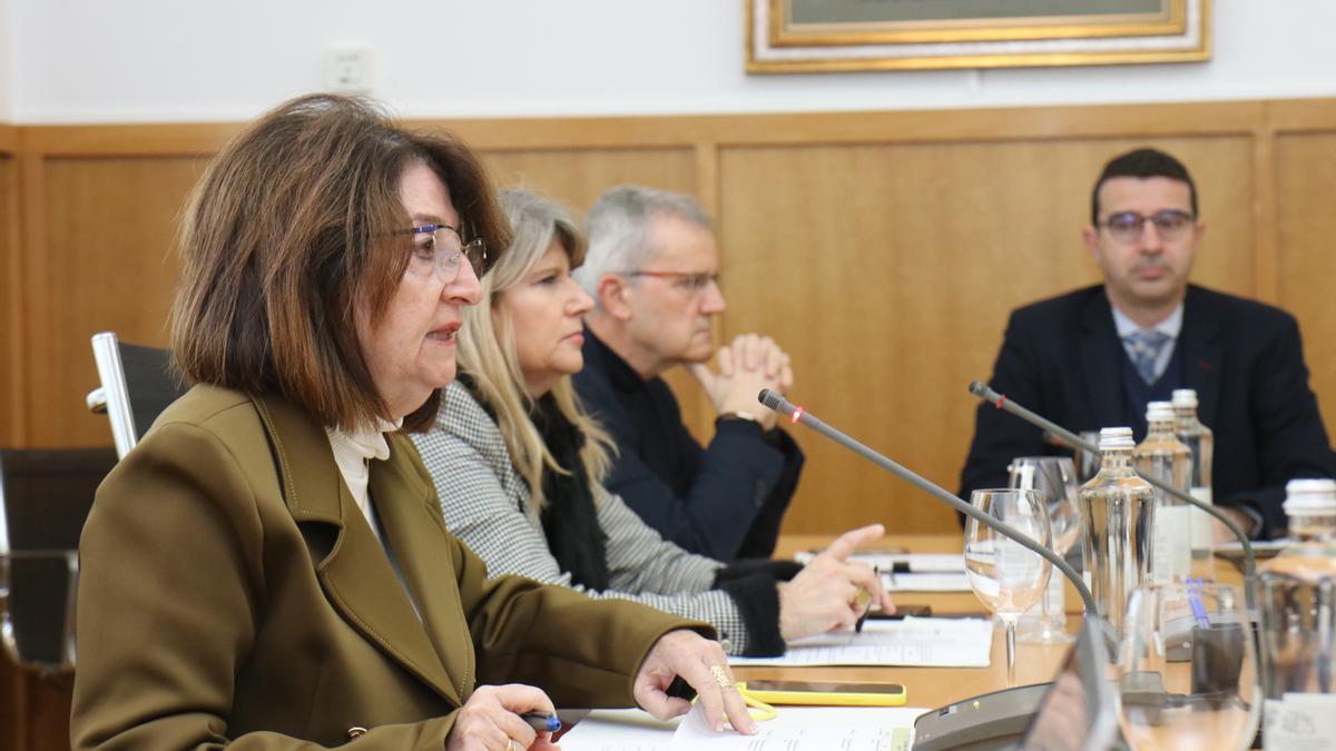 La rectora, Amparo Navarro, ante el Consejo de Gobierno este jueves