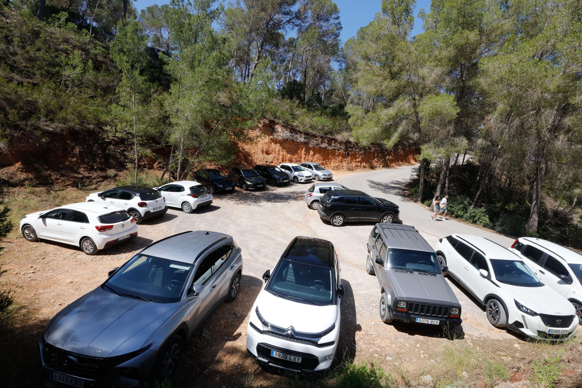 Primer día del servicio de autobús a Cala Salada