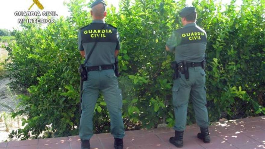 Dos guardias civiles, en la finca de limones de Santa Cruz.