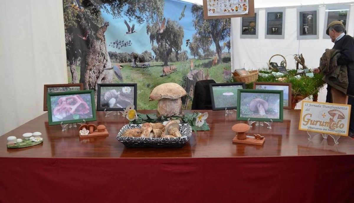 La Feria Transfronteriza del Gurumelo cumple quince años