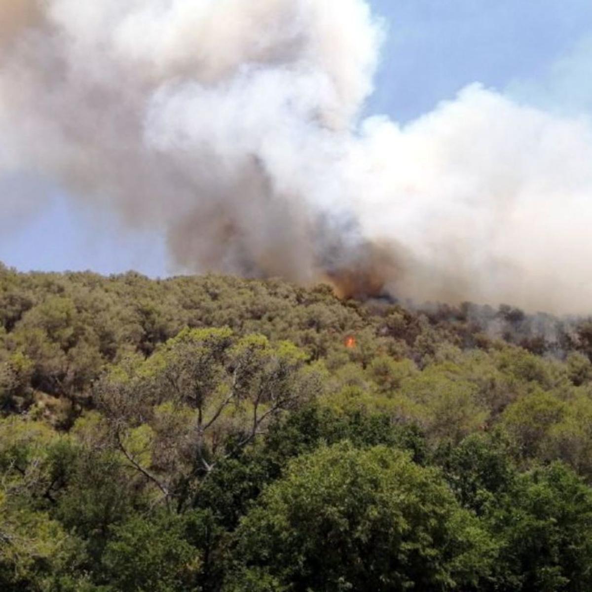 Els focs sumen 120 hectàrees aquest any