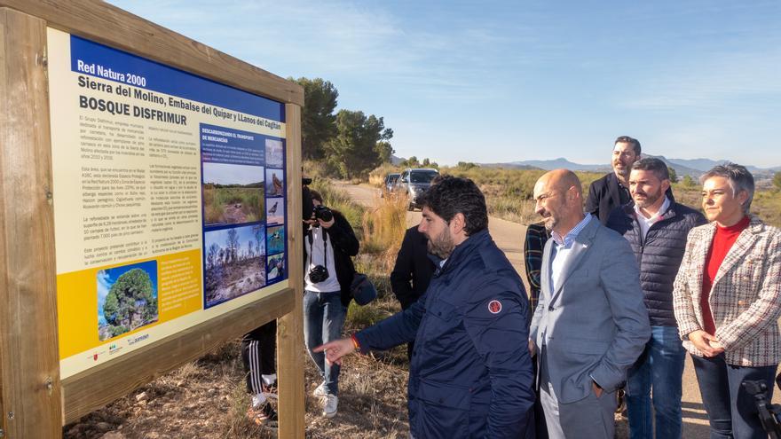 Disfrimur plantará 7.000 pinos para restaurar más de seis hectáreas de la Sierra del Molino de Calasparra