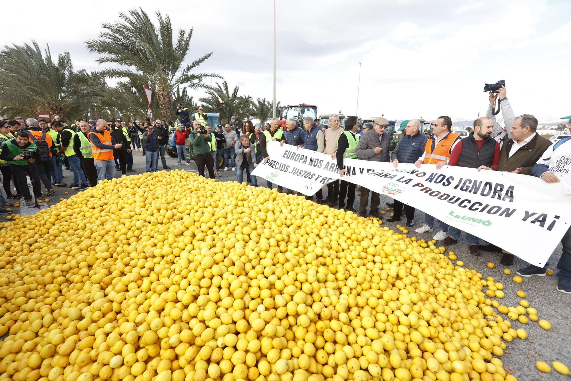Los agricultores se concentran en tres comarcas de la provincia de Alicante en una tractorada por carreteras secundarias
