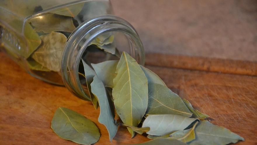 Así es como una hoja de laurel te quitará años de encima