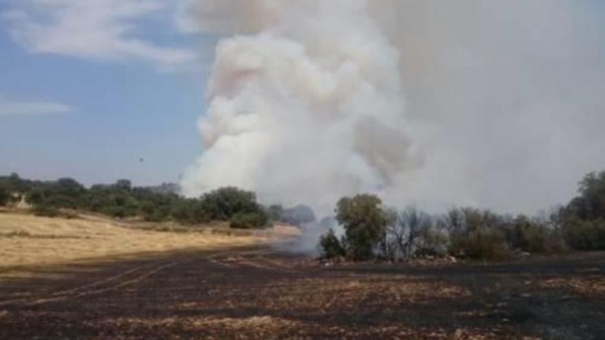 La columna de fum de l&#039;incendi d&#039;Agramunt.