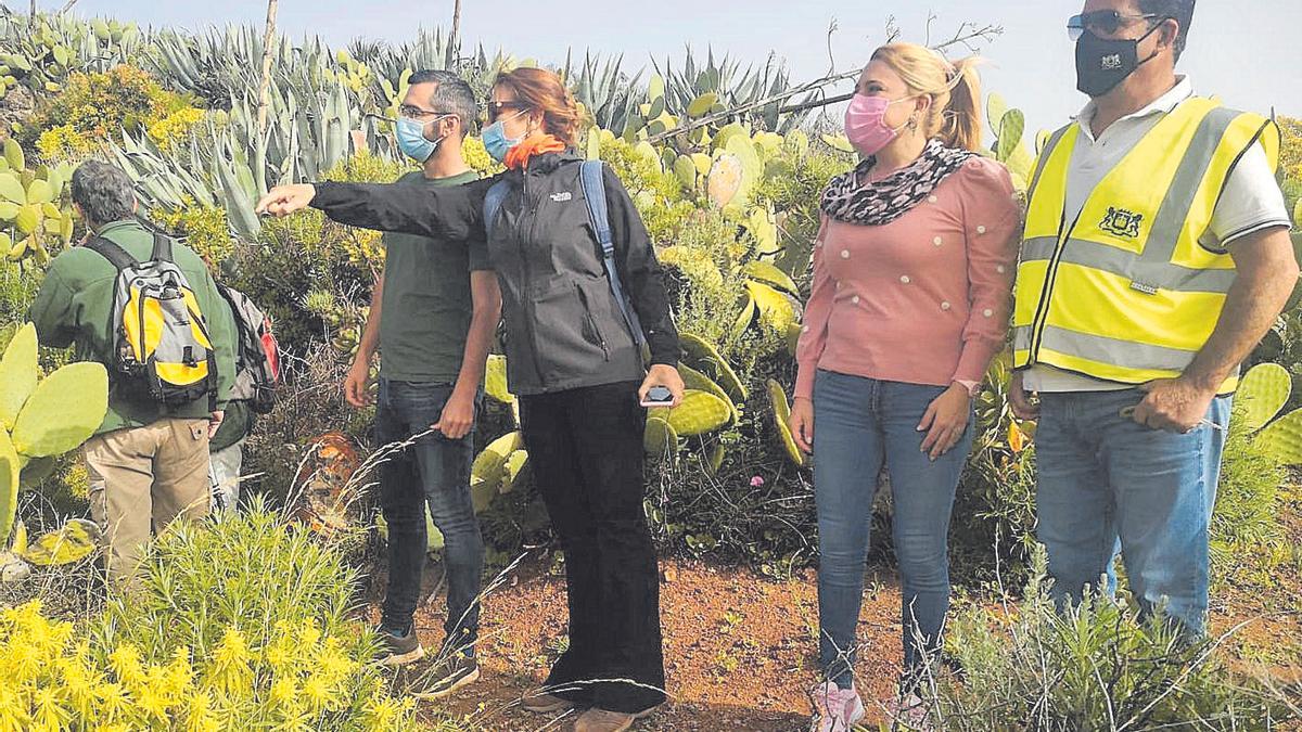 La consejera Inés Jiménez -centro- conversa con un técnico, junto a la concejala Minerva Artiles, ayer, en Guayadeque.