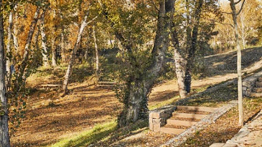 Imatge del camí de Cabrianes, conegut com a camí dels Horts