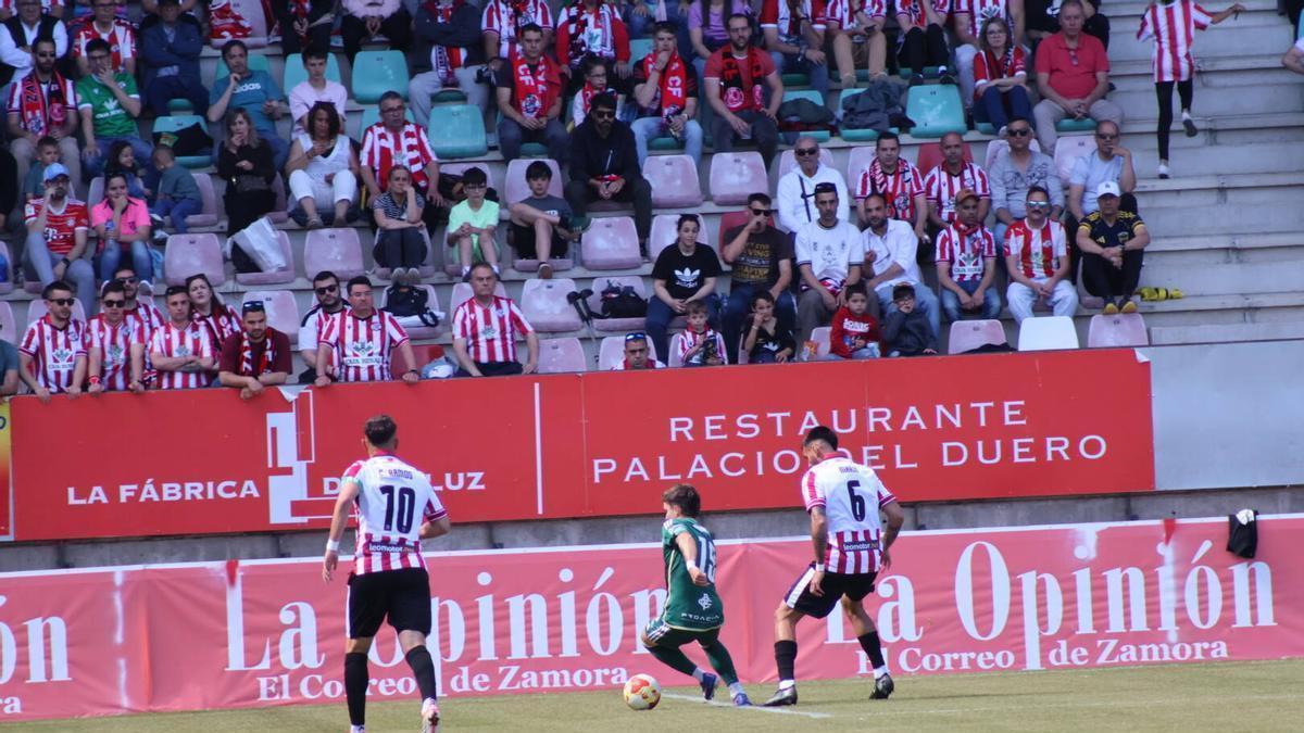 Una imagen del encuentro entre Zamora CF y Cacereño.