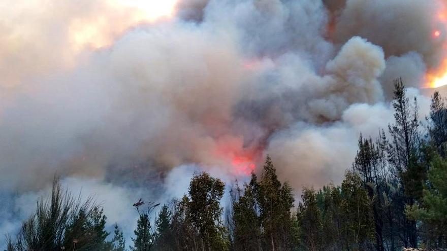 Incendio en A Gudiña. // Brif Laza