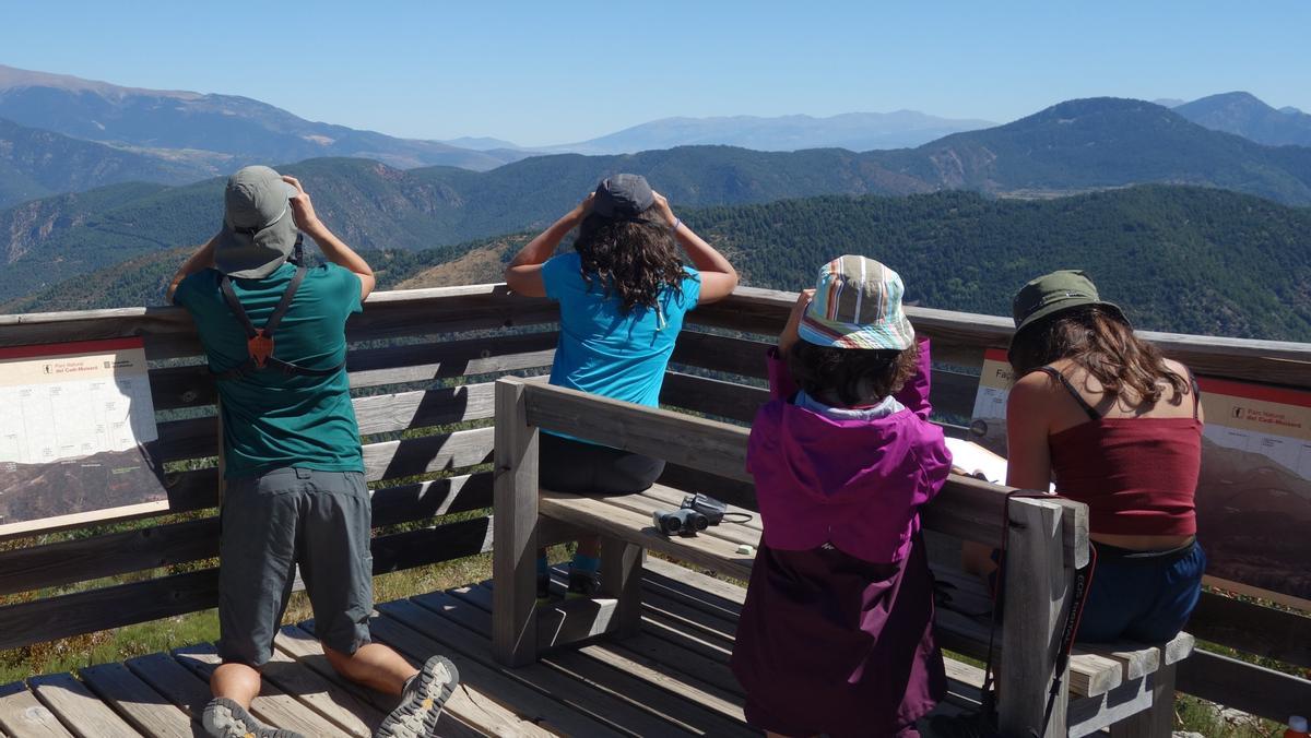 Niños y niñas en una actividad de observación de aves