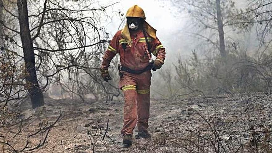 Un brigadista camina por un bosque incendiado.