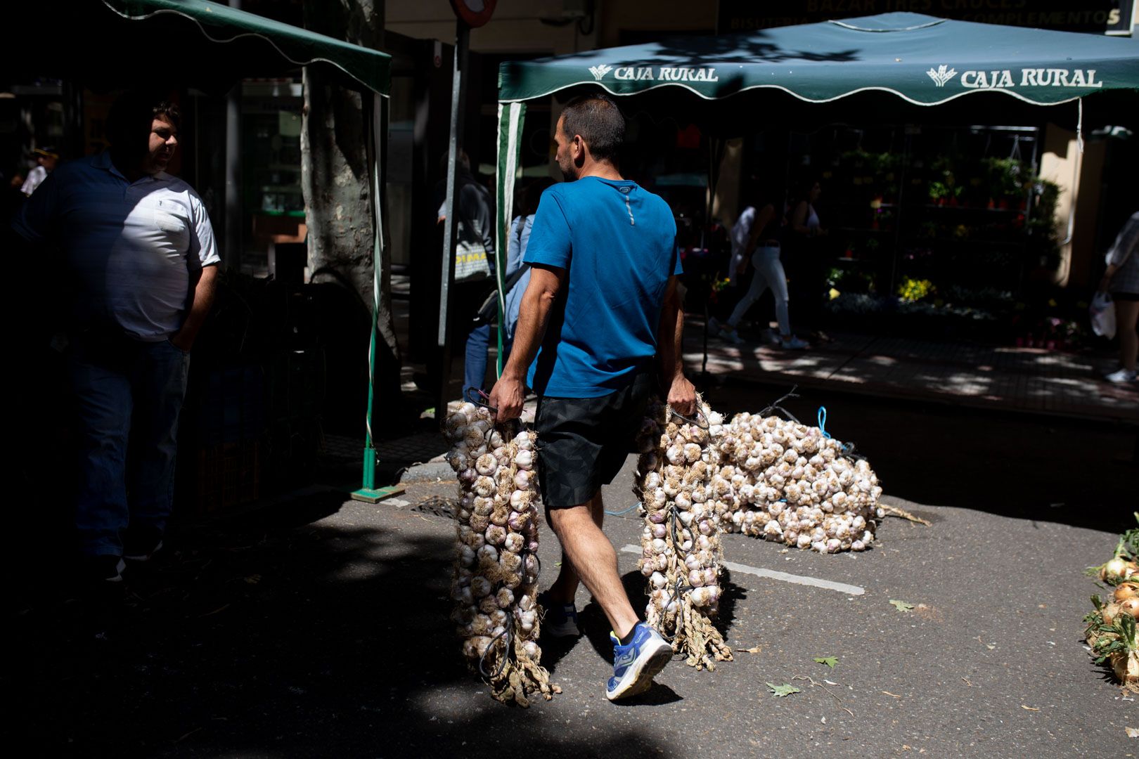 GALERÍA | Las mejores imágenes de la Feria del Ajo de Zamora