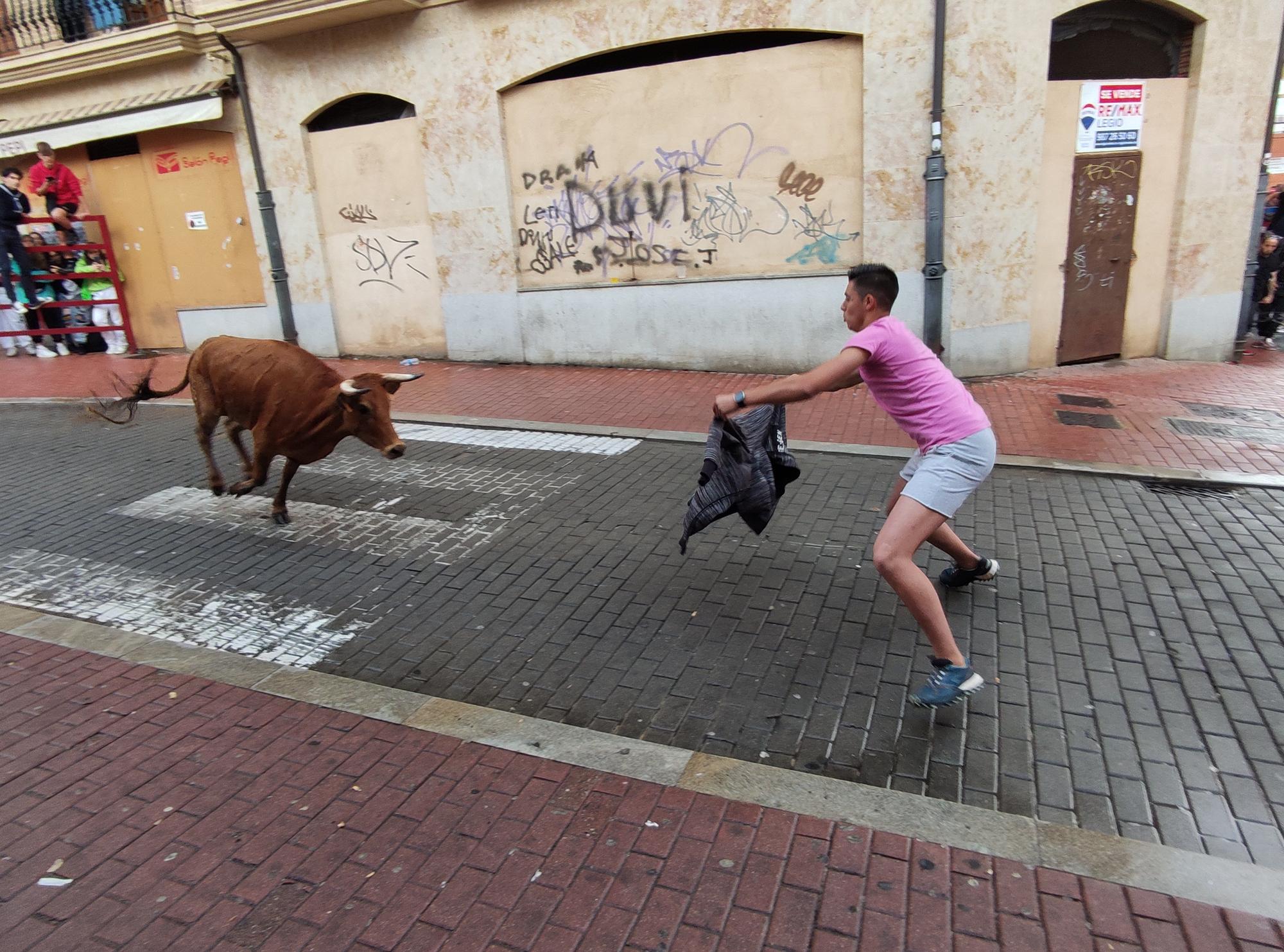 Toro Enmaromado en Benavente: La fiesta del jueves en imágenes