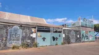 El doble de grande que Isla de Mar: así será la nueva terraza de ocio nocturno en Santa Cruz