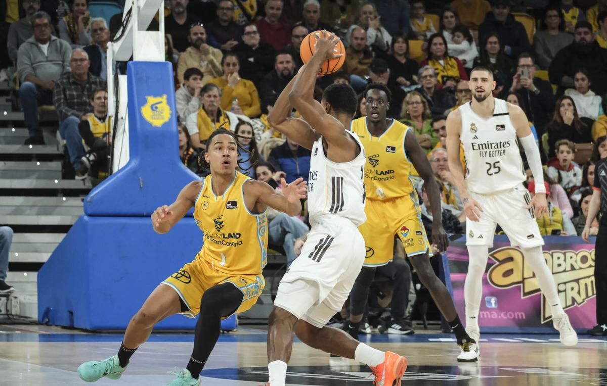 Liga Endesa: Gran Canaria - Real Madrid Liga Endesa: Gran Canaria - Real Madrid