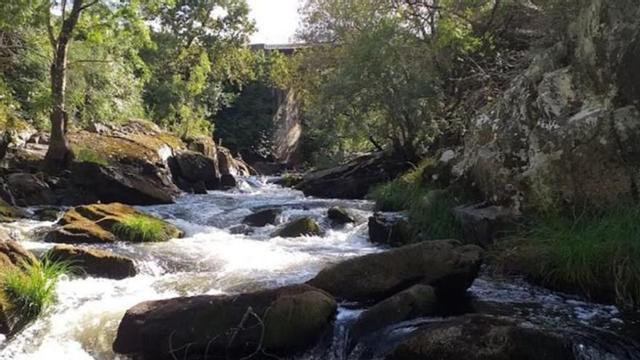 Entorno del área recreativa de O Abeseiro, al pie del río Arnego. | // ESTUDIO TÉCNICO GALLEGO