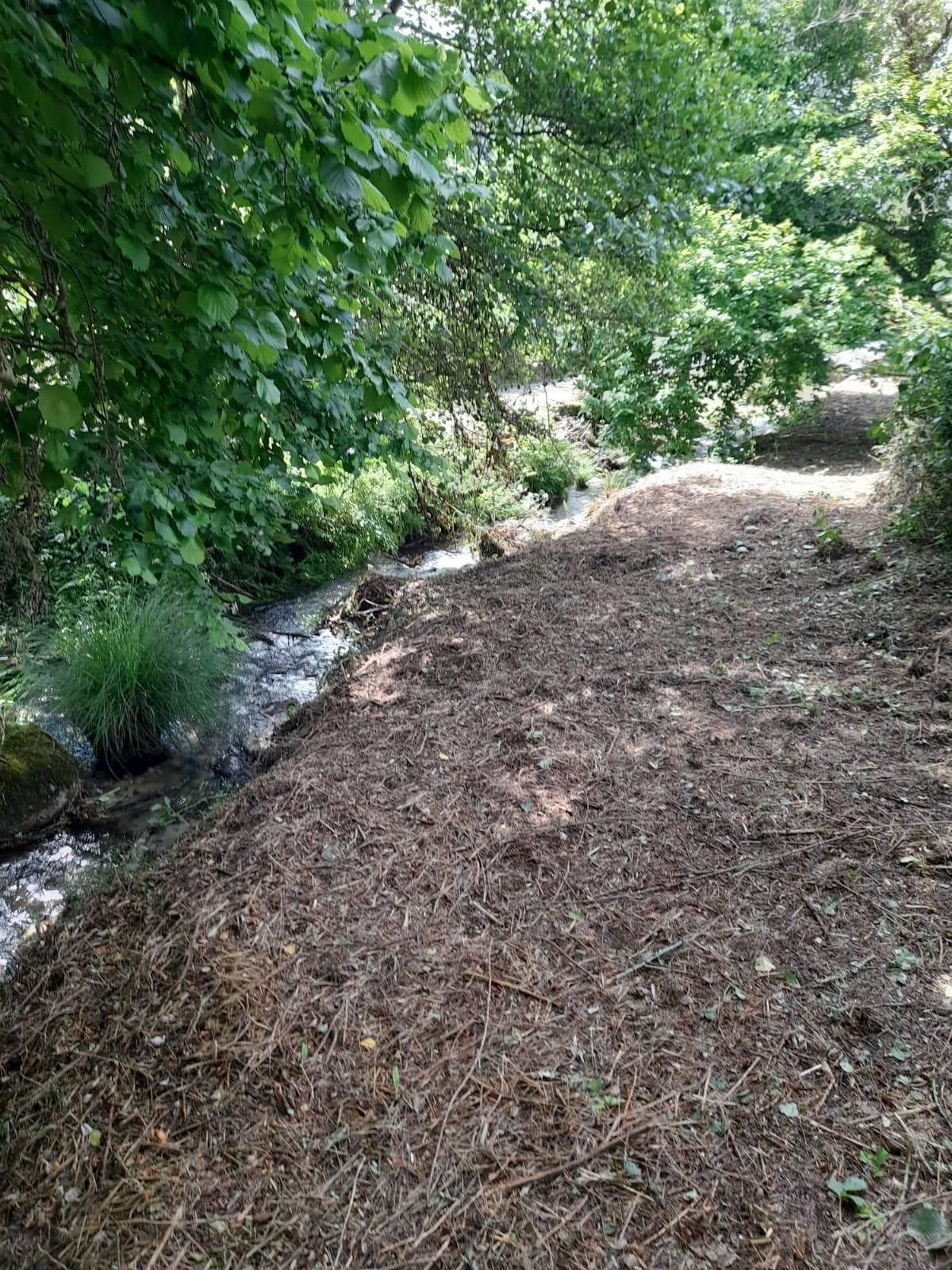 Espacio desbrozado, con el río al lado.