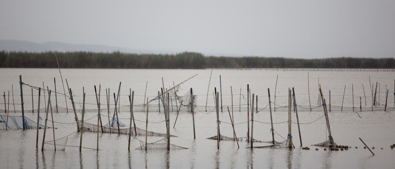 El parque natural de l&#039;Albufera ha recibido un contrato de 1,2 millones para mantenimiento y conservación.