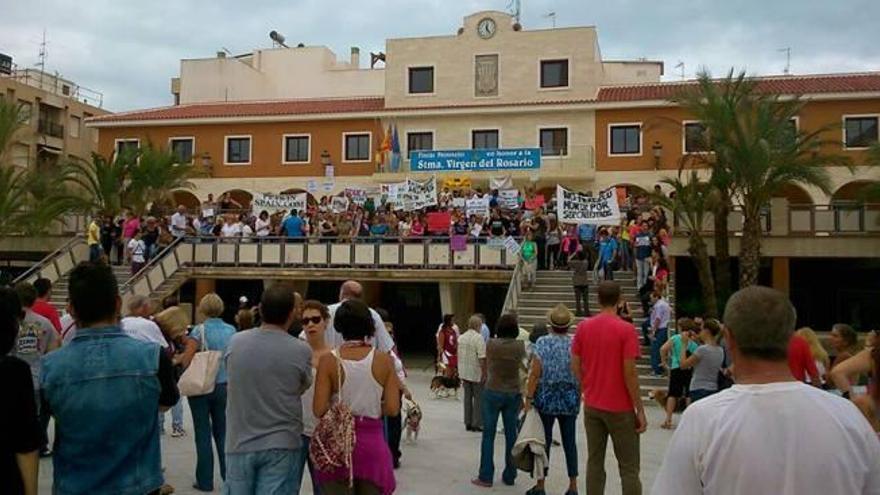 Vecinos piden el cese del exterminio de gatos callejeros por parte del Ayuntamiento