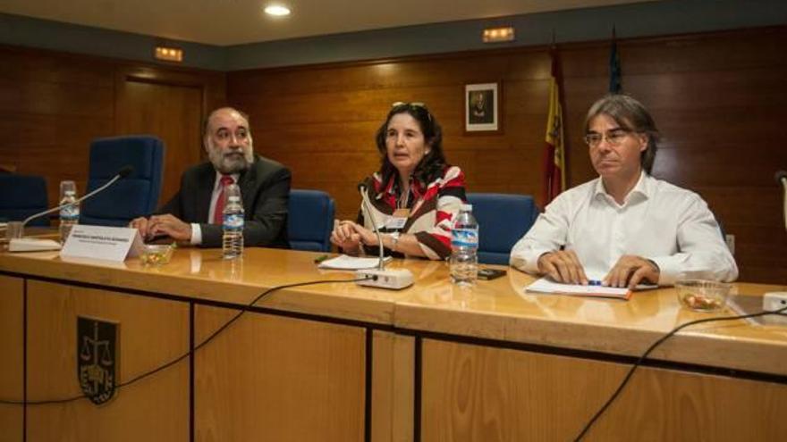 Los psicólogos forenses aúnan criterios y protocolos en una convención en Alicante