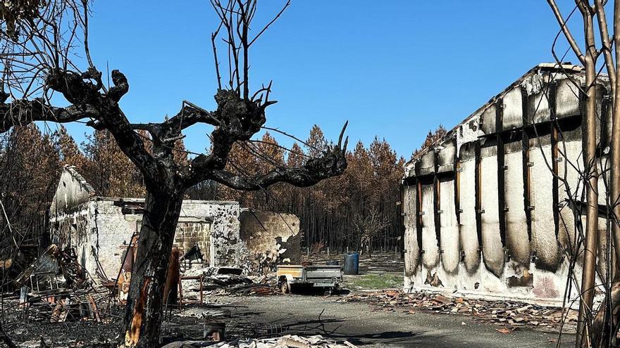 La difícil vuelta a la normalidad en Gironda tras un verano de megaincendios: "Es una pena. Mucha gente lo ha perdido todo"